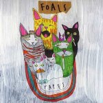 foals